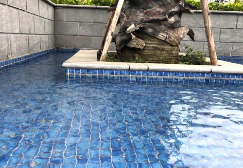swimming-pool